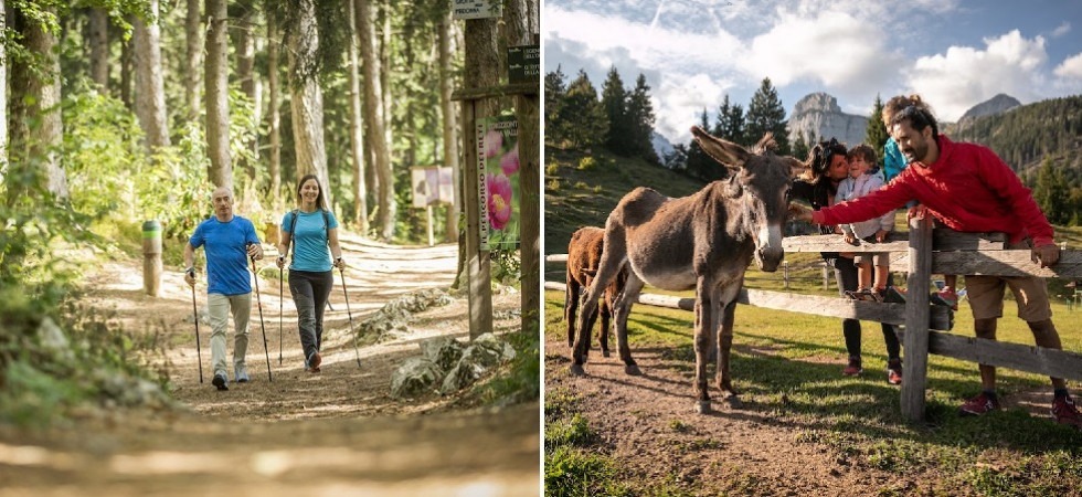 Covid, via alle riaperture anche in montagna: ripartono nel weekend gli impianti di risalita sulla Paganella